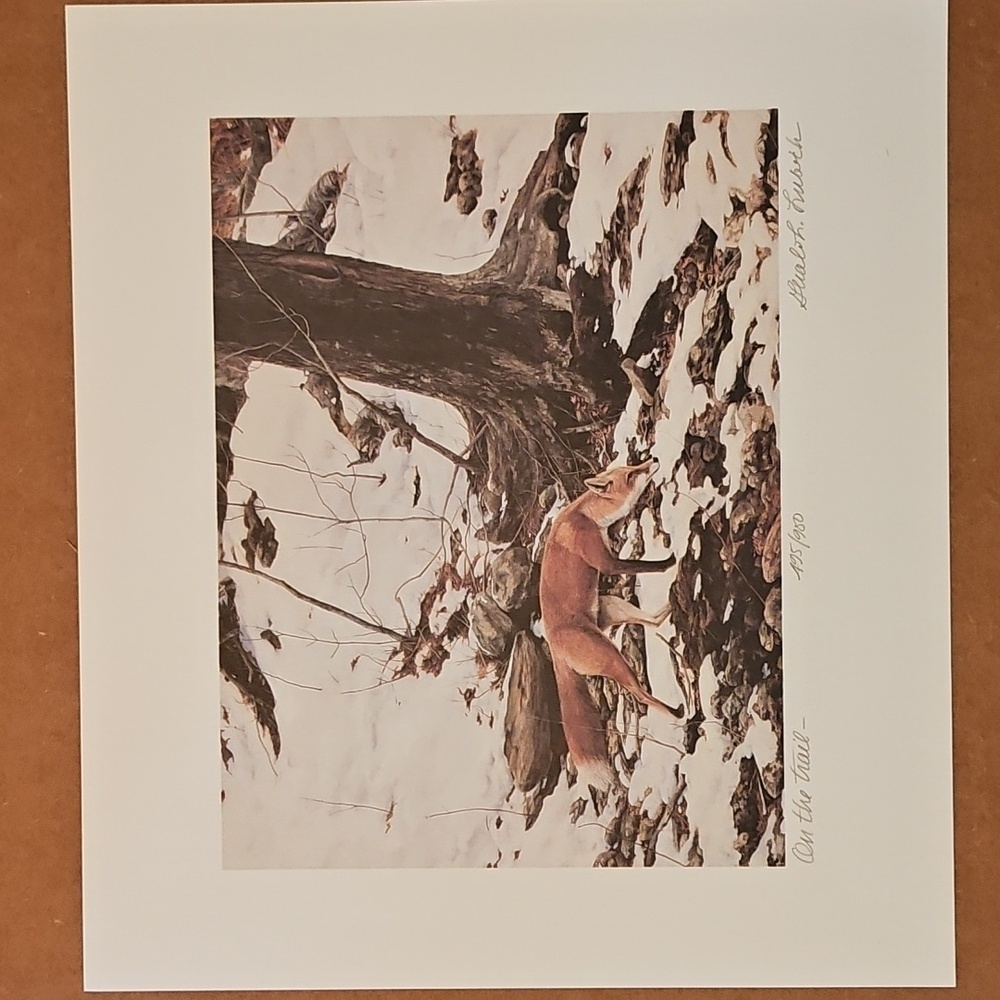 Fox Art Print in Snowy Forest Gerald H Lubeck